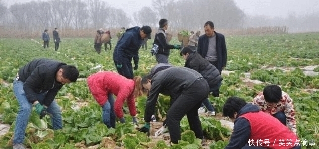  #吃香#现在的农村，这3行很吃香，不仅能挣钱而且也很体面，村干