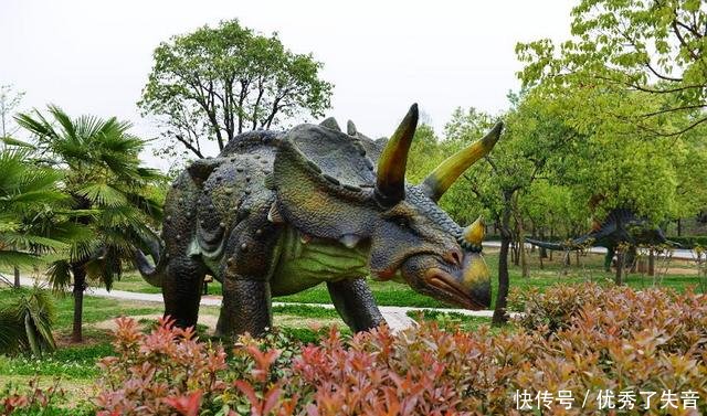  位于@河南面积最大的三个县，都位于河南西部连成一片，全都历史