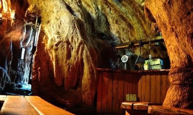 世界上“最大”的树，已经存在了6000多年，里面竟开了一个酒吧！