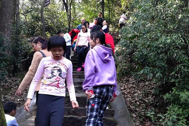 正月初二阳光普照 岳麓山人流“爆棚”（视频）