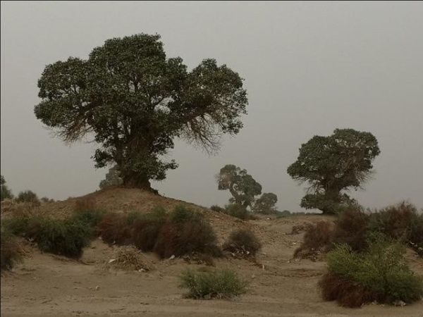 坐着大巴去新疆（五）之从且末到民丰，走走塔克拉玛干沙漠公路