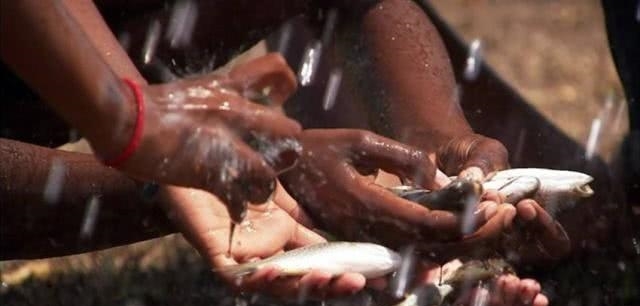 世界会下“海鲜雨”的国家，万条活鱼流入空中降落，是好还是坏？