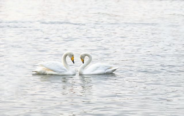 警惕新型骗局老师在微信里向家长借钱，是真的吗？