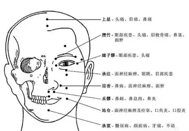 史上最全人体穴位与功效图谱,建议收藏!