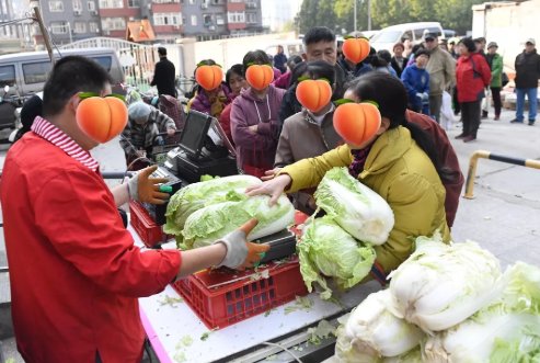  山东的蔬：浩克山东丨山东“巨型食物”之谜