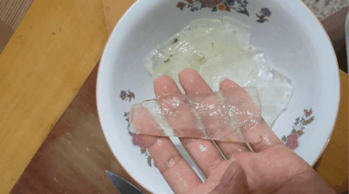  『透明的果肉』芦荟好养又美味，还能拿来做护肤品，养20盆都不多