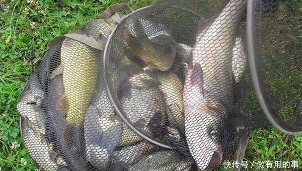 水中溶氧■春钓烟雨雾,夏钓风雨天,到了夏季,钓鱼要选择这些天气!