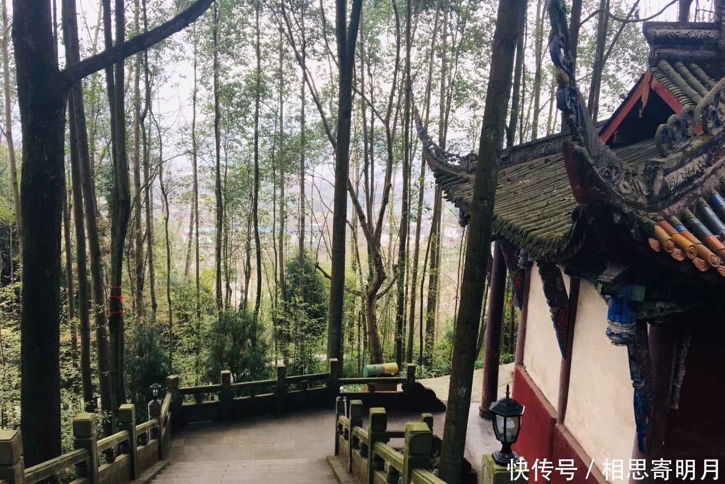 成都不平常的道观，地位不输青城山和青羊宫，无门票却少有人知