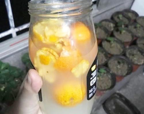  #氮钾肥#养绿萝，3种“万能肥”抵过正规肥，叶子绿的像刷漆，再也不黄叶