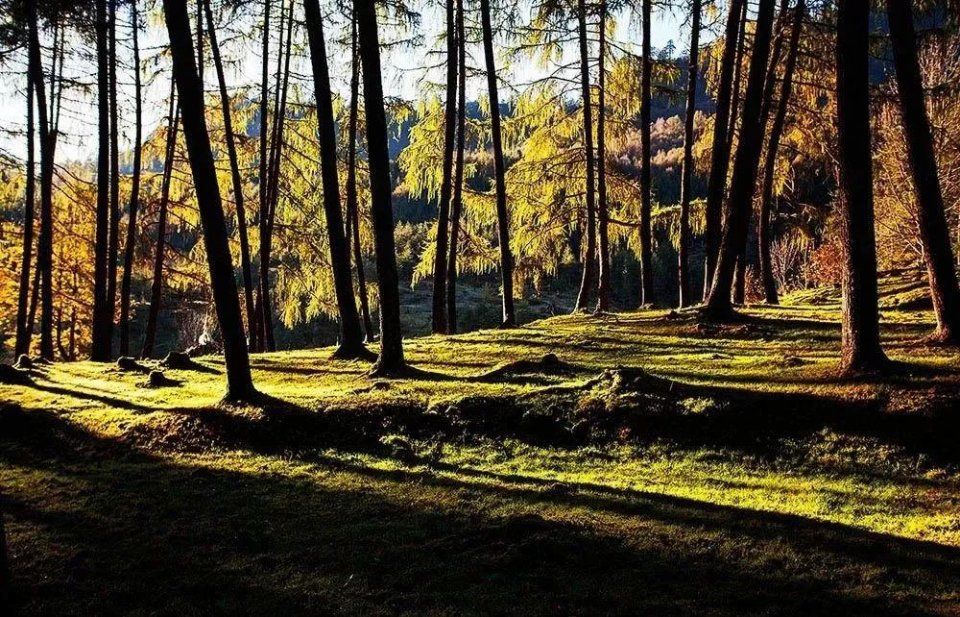 彩林之秋毕棚沟 | 赏秋要趁早!9月份就可以来这里赏红叶彩林了