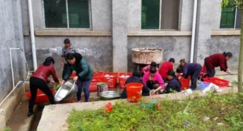  亲戚|年轻人回农村，为啥现在住几天就急着走了？老农：主要4个