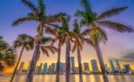 美国最适合过冬的城市，却已被外国人占领，超一半是外来人口