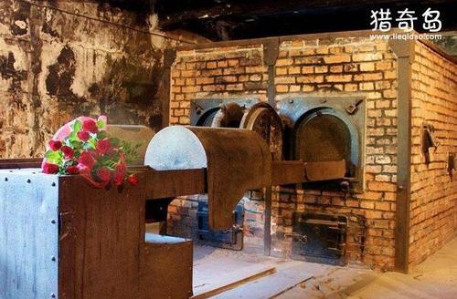 火葬场工人吃130具女尸，是真实还是谣言(在印度真实发生过)