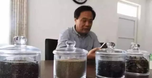 中国最恐怖工厂：养10亿只蟑螂，每天喂50吨饭，政府还给它补贴！