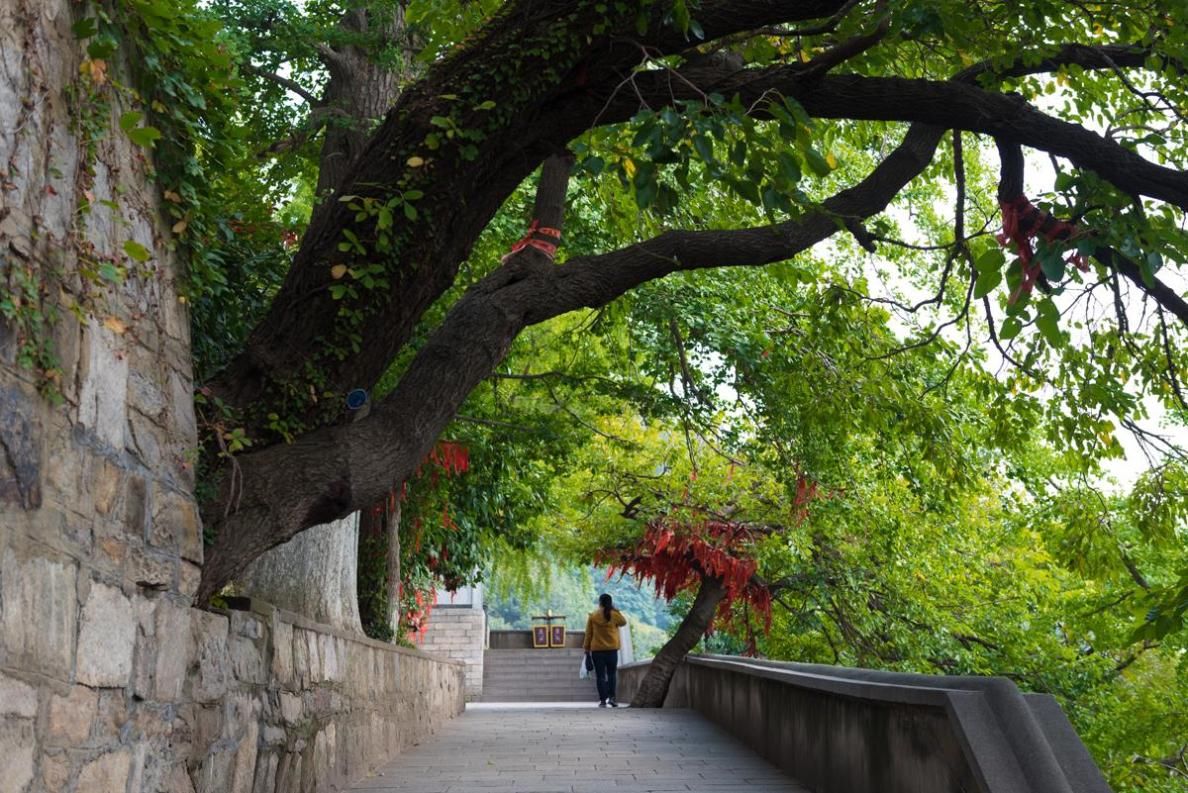             西游记中孙悟空的老家，江苏省最高峰就在这座山上