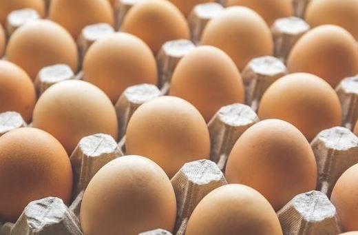 鸡蛋不能跟豆浆一起吃？这5个谣言不知道害苦了多少人！