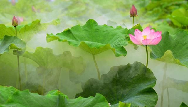 无论风光摄影还是人像摄影,光线的角度同样影响着摄影!