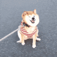 十一小长假或迎大降温!拥堵路段提前get，还有美景攻略请收好