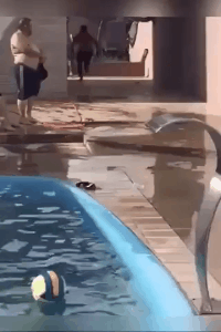 「差距」搞笑GIF：这大概就是爱情吧，身高差距不重要