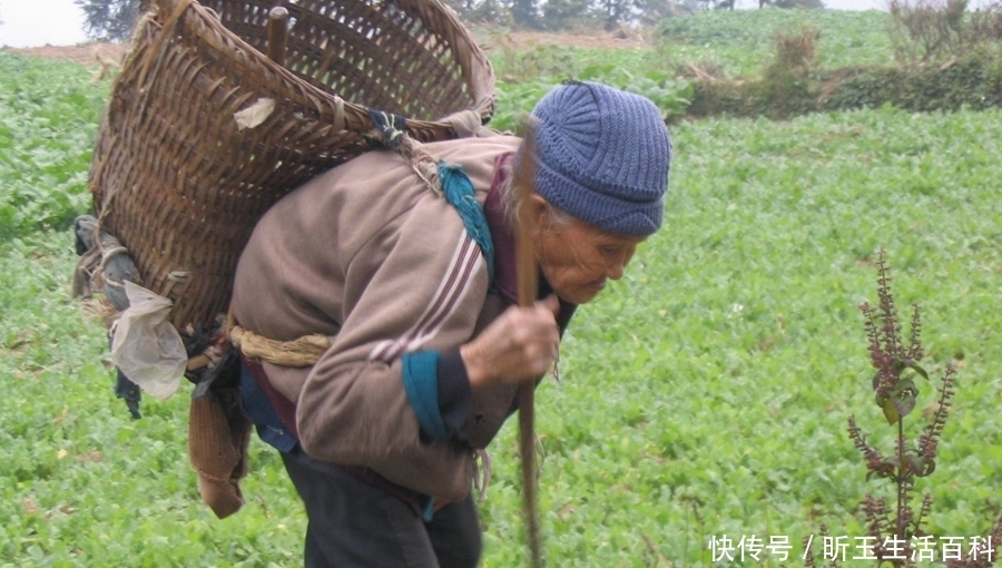 农村老人担心的养老问题，有解决措施了，来看看是什么