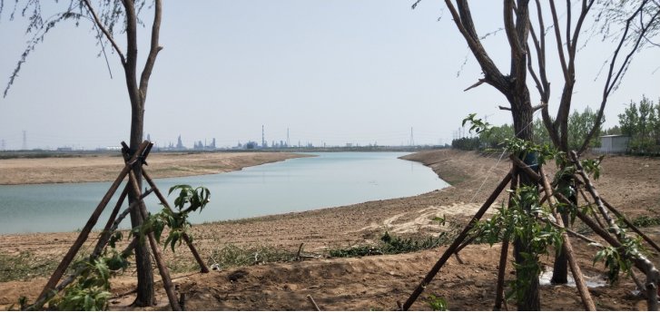 『权威』权威发布!东三路(德州路至永馆路)段恢复通车!