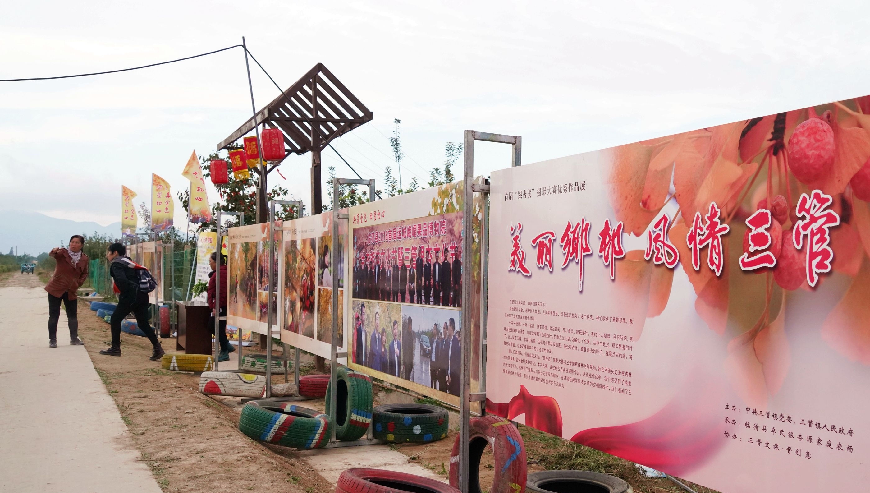  [银杏]山西农民8亩银杏林扔掉20年，现今坐在地头收门票，月赚10