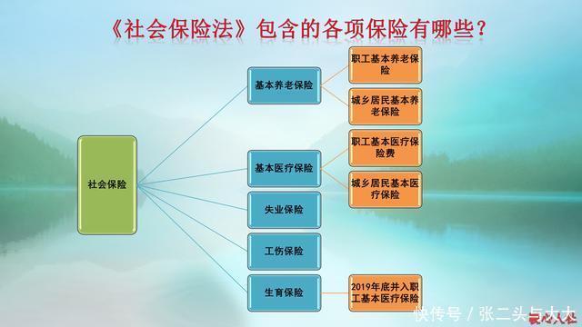 养老保险的构成图片