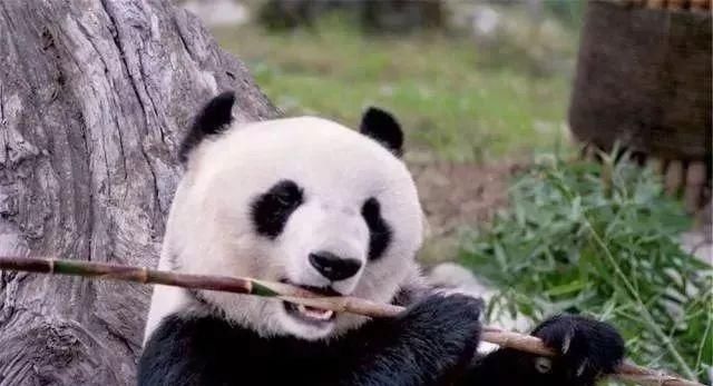  『解封』解封之后都是假期，推进几个说走就走的无病毒景点