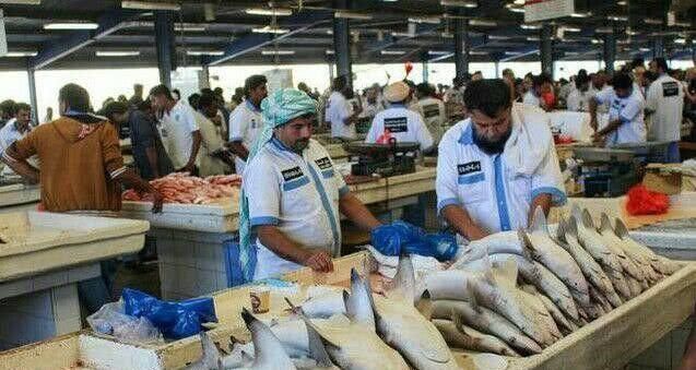 实拍迪拜菜市场,穷人才吃海鲜,而它却成为富人的象征