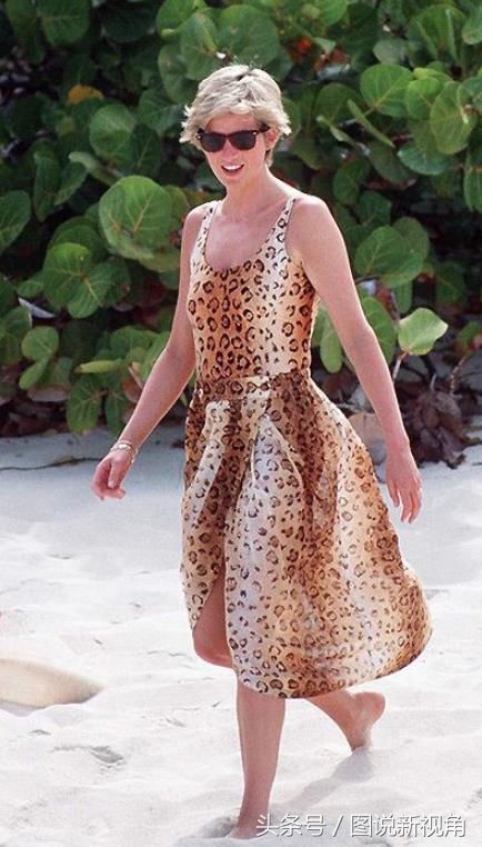 各国王妃穿“豹纹”服饰，戴安娜穿着优雅，只有她让人意外