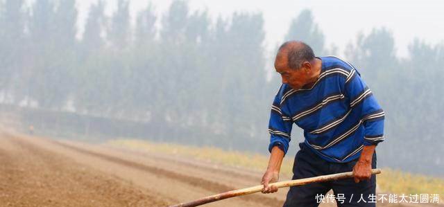 60岁以上的农村老人，交公粮几十年，他们的养老福利来了