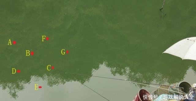  【切记】到了十一月，打窝只需按我说的做，诱鱼比之前快三倍，切记莫疏忽