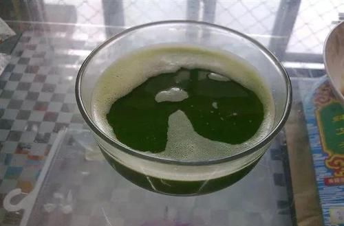 土壤■用这3种蔬菜,制作“杀虫剂”,能杀菌能驱虫,白粉病也不怕