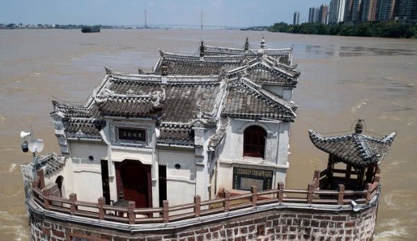 湖北现最牛“钉子户”，扎根长江700年，洪水中屹立不倒