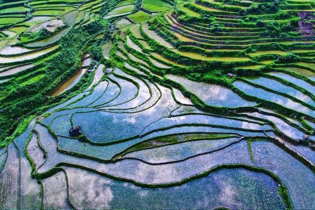 重庆酉阳的绝美梯田，好多本地人都没去过