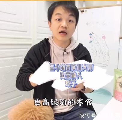  『边牧』二哈变边牧？可强烈刺激狗狗服从性的【冻干肉】是什么来头？