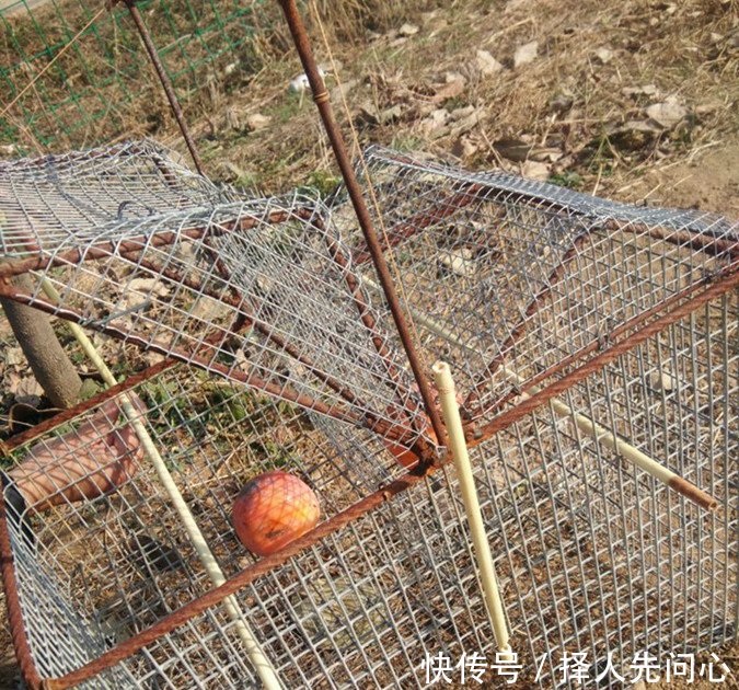 只有80后农村人知道这是干嘛的，现在想见都难喽，你知道这是啥