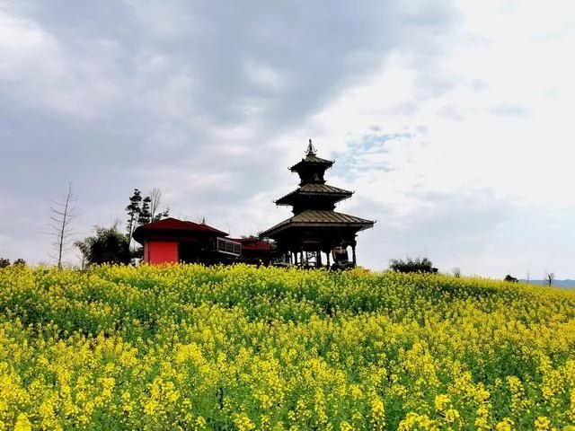 赏花踏青正当时 蓉城首届花朝季来了【2020热门旅游景点】