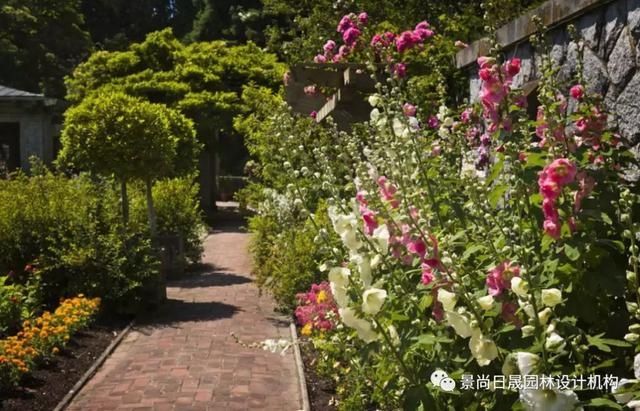  『适合』适合庭院种植的27种常用宿根花卉