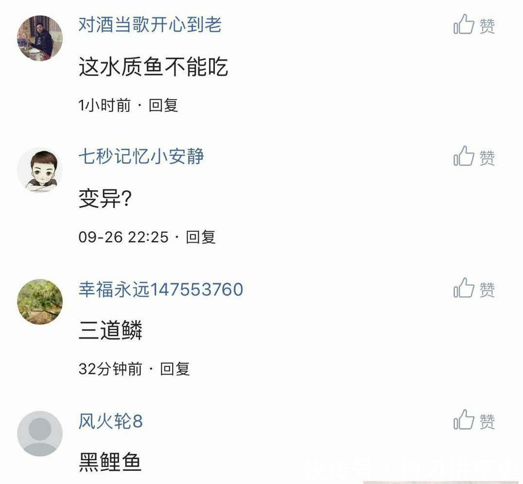  [天门]湖北天门钓起神奇“黑龙鱼”，模样稀奇罕见，网友：危险