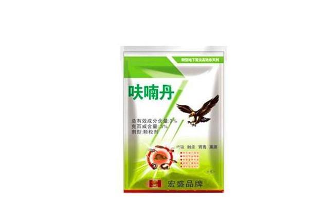 绿植|介壳虫成灾?别担心,这些方法轻松治愈你心爱的绿植!