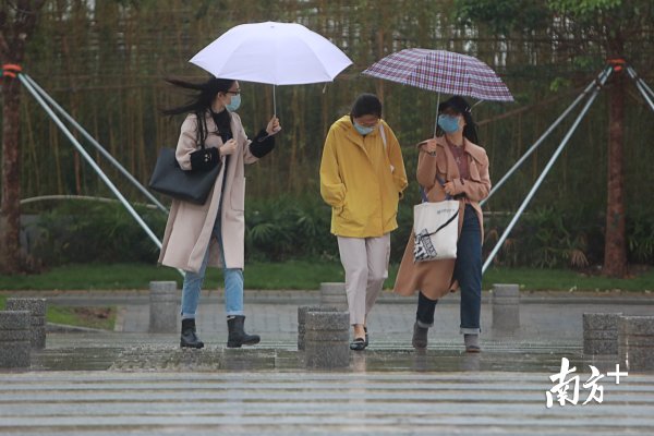  「图集」图集｜能见度2公里以下，深圳晚高峰迎来雨雾天气