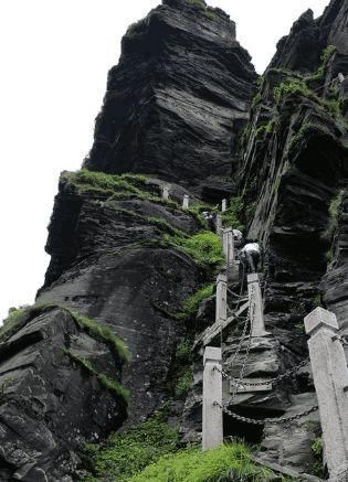 国内一刚申遗不久的景区，游客爆满，游客:像极了菜市场!