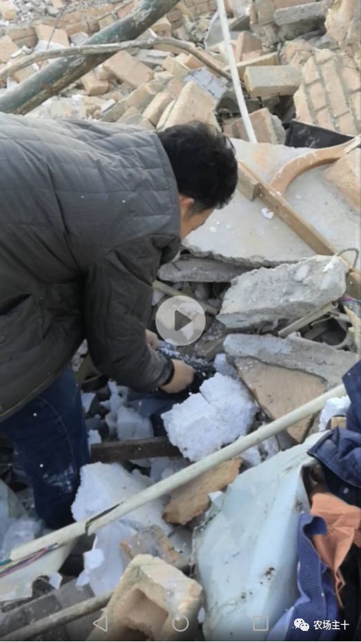 央视质问：我让你查大棚，谁让你一刀切了？