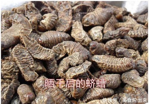  [几十块]它是毁庄稼的一把好手，颇令农民头疼，现在端上餐桌，
