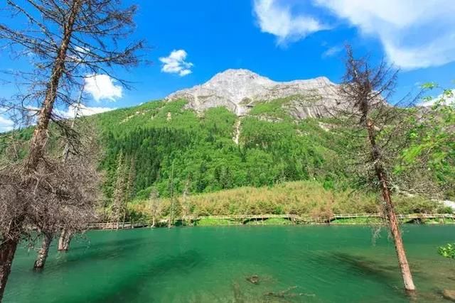 康定国际情歌节攻略！电音电竞赛马，这样过七夕简直酷Skr人！