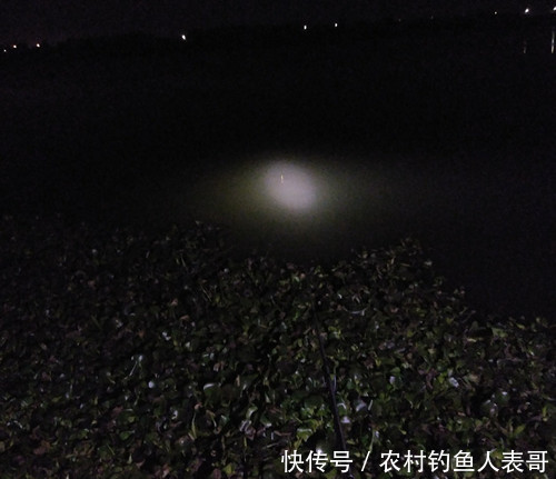 春季夜钓做好这四点，新手夜钓照样上鱼，浅谈春季夜钓的四大技巧