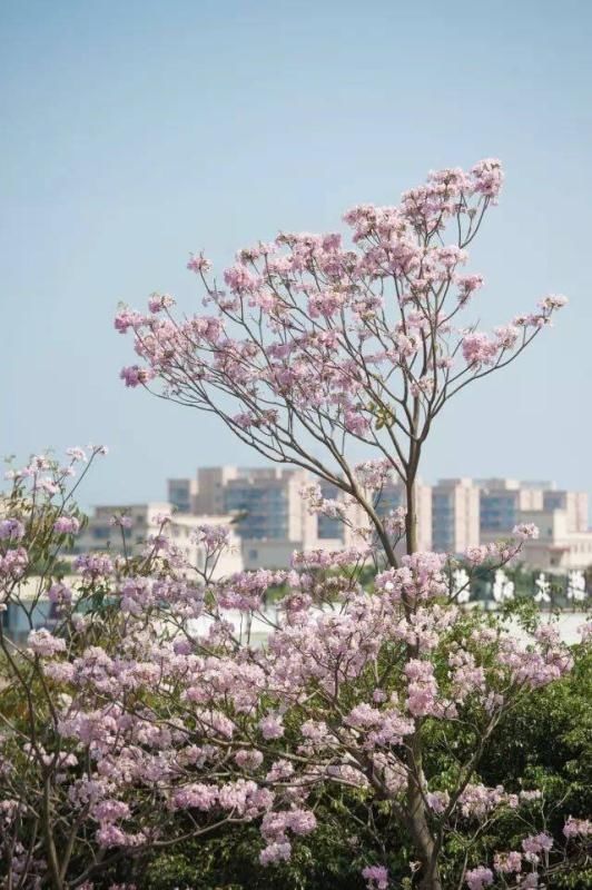  唯一|他，是中国唯一用伟人命名的城市，是中国最适合居住的城市
