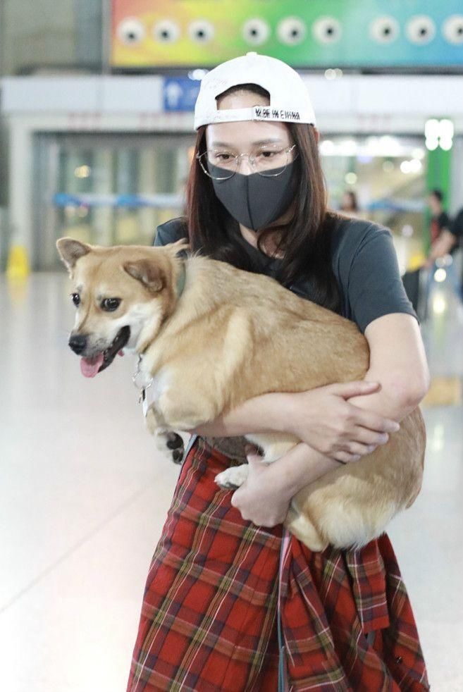 陈乔恩带活物现身机场，网友:你不柔弱了?