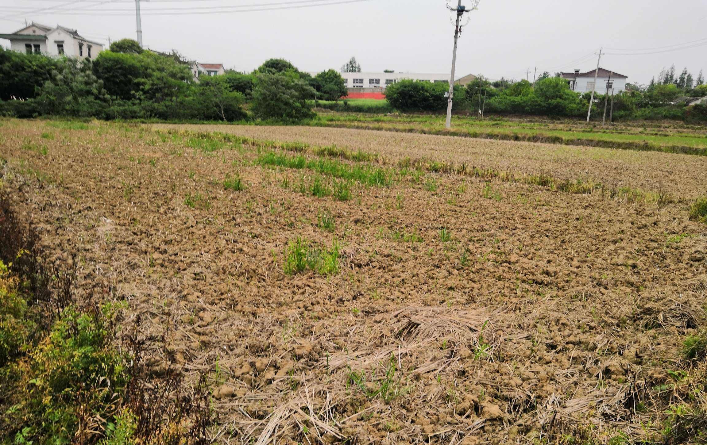  「国家也明确」农村承包地能收回吗？法律是这样规定的，可收回三种情况！